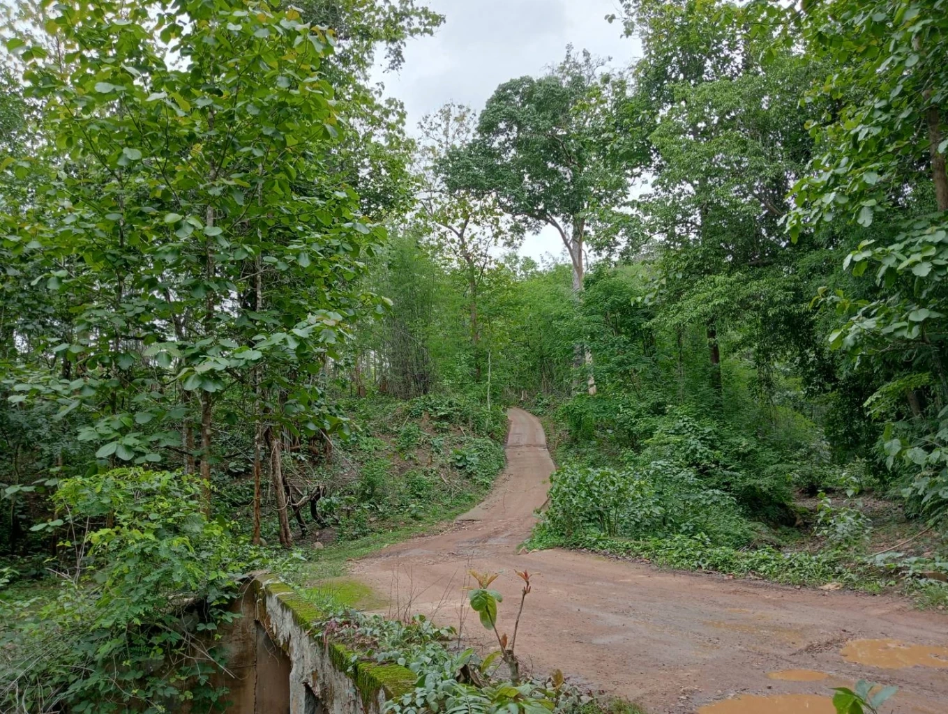 กาชาดเร่งช่วย กะเหรี่ยงอพยพหนีภัยสู้รบ เข้าไทยต่อเนื่อง อาหารเริ่มไม่พอ