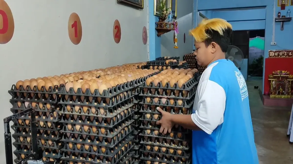 พาณิชย์จับตา "ราคาไข่ไก่" ย้ำราคายังอยู่ในเกณฑ์กำกับดูแล