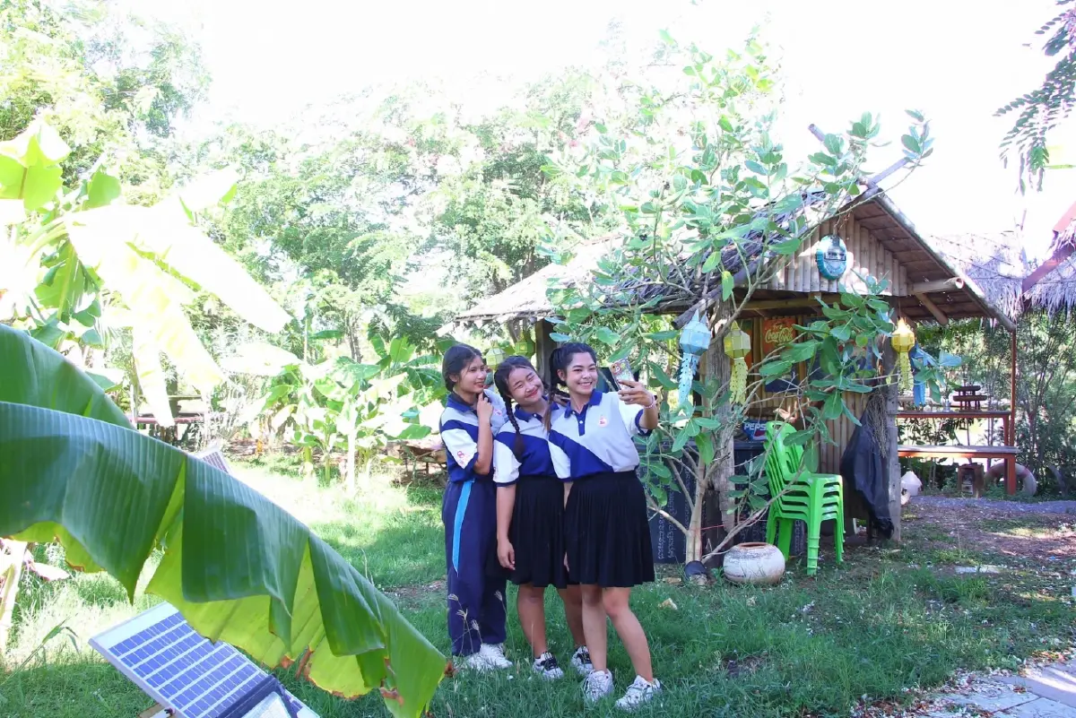 นทท.แห่เช็กอิน เซลฟี่บนสะพาน ชมเกาะ ต้นชัยพฤกษ์ ที่สวนกล้วยสุพรรณบุรี