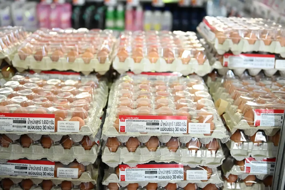 พาณิชย์จับตา "ราคาไข่ไก่" ย้ำราคายังอยู่ในเกณฑ์กำกับดูแล