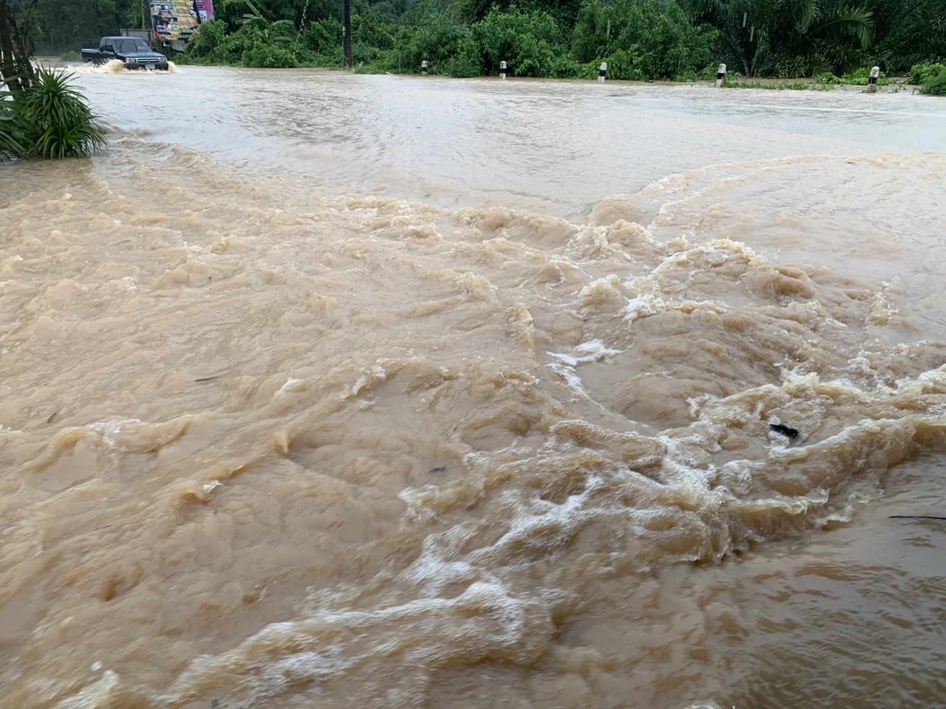 ตรัง-พังงา อ่วม! ฝนตกหนักตลอดทั้งคืน น้ำป่าทะลักท่วมบ้านเรือน ปชช. 8 อำเภอ