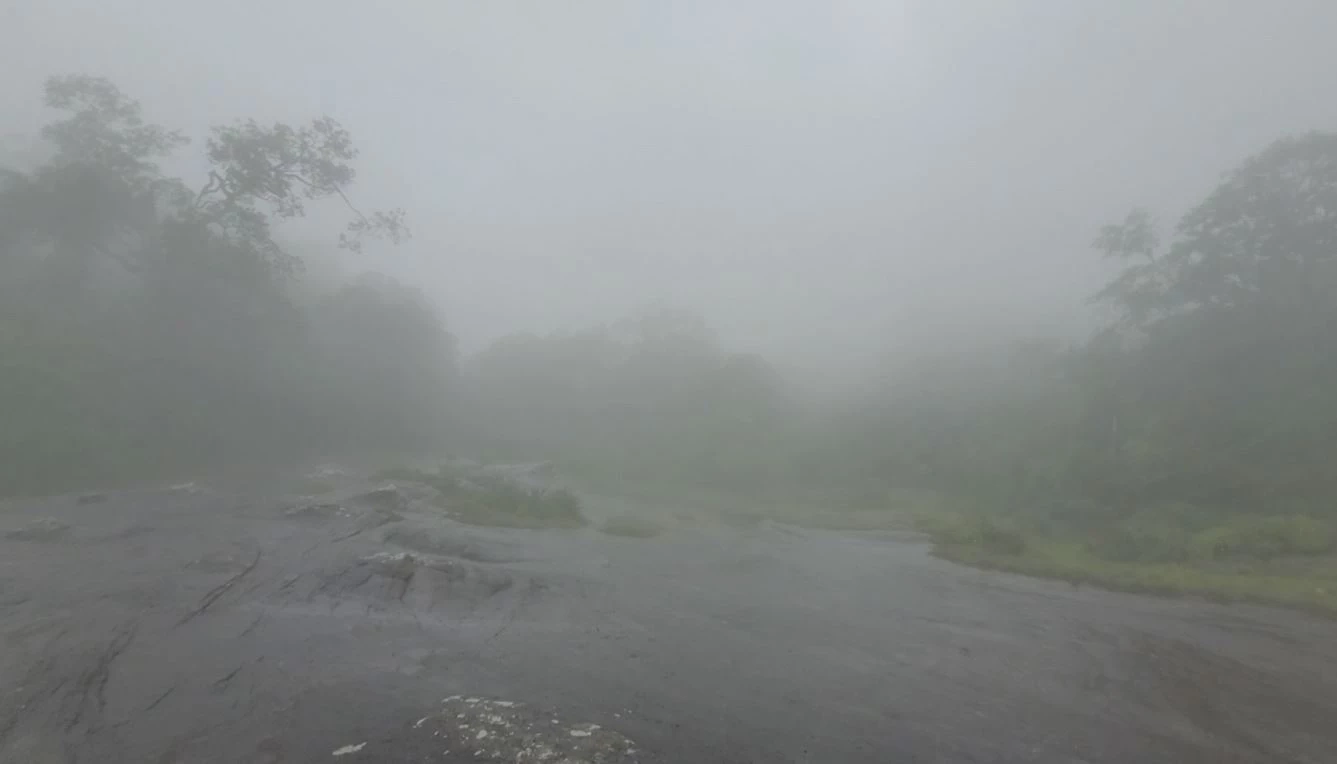 นทท.ชมดอกไม้งาม "บีโกเนีย" พร้อมสัมผัสความสดชื่นจากหมอกฝน ที่ภูหินร่องกล้า