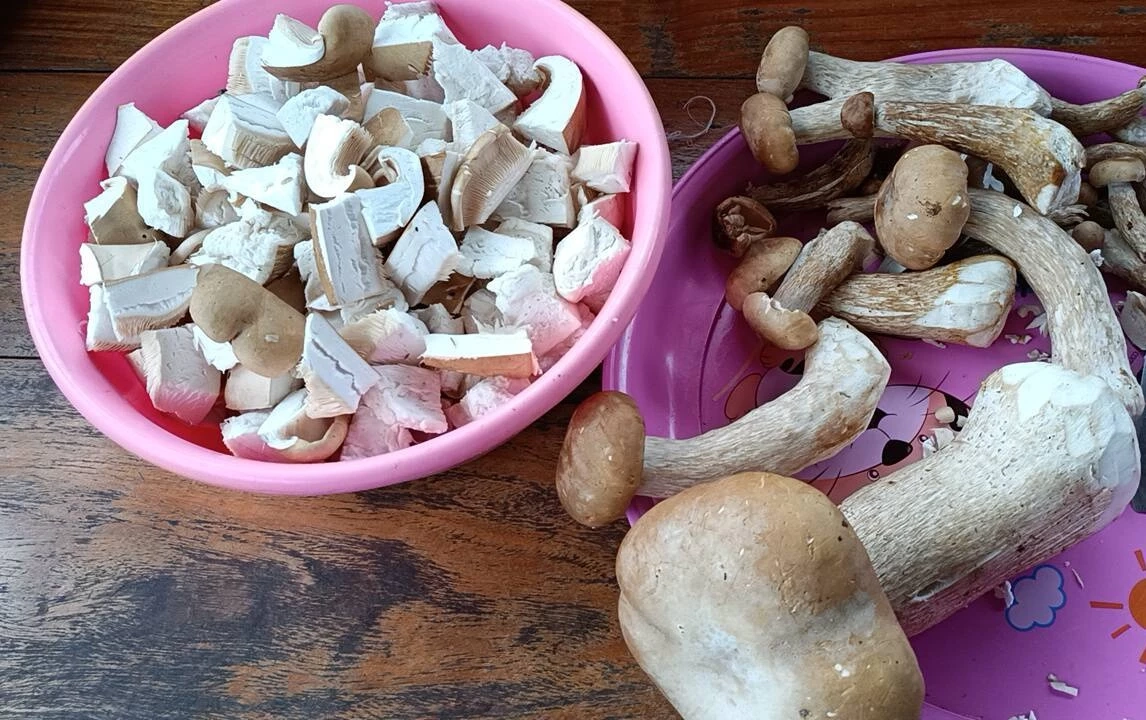 ตะลึง! ชาวบ้านพบ "เห็ดยักษ์" ดอกเดียวหนักกว่า 1.3 กิโลฯ