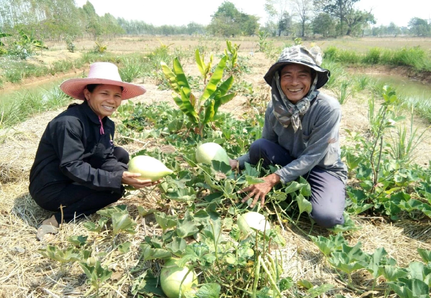 กรมพัฒนาที่ดิน อัปเกรด Agri-Map ช่วยเกษตรปลูกผลผลิตได้ตรงความต้องการตลาด