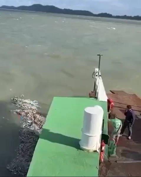 เศษอวนที่พันติดใบพัดเรือเฟอร์รี่ข้ามไปเกาะช้าง