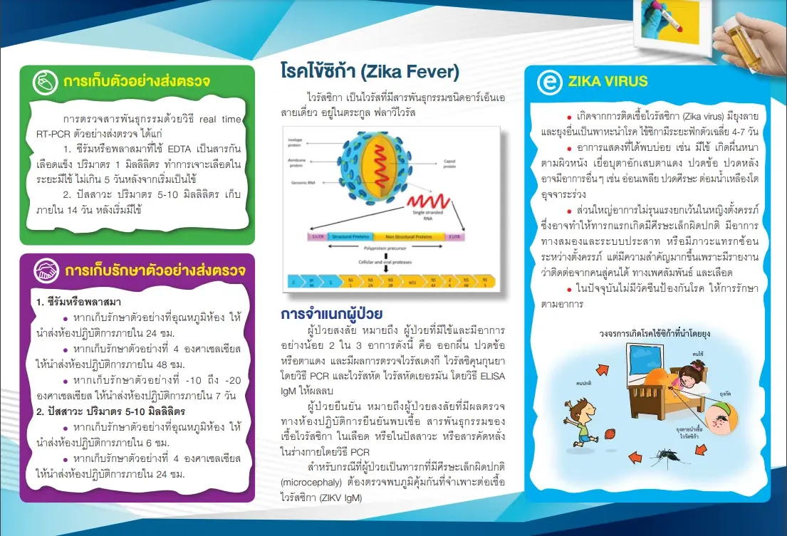 สธ. เผยยอดผู้ป่วยซิกา 110 คน ล่าสุดพบมีหญิงตั้งครรภ์ ห่วงผลแทรกซ้อนทำให้แท้ง