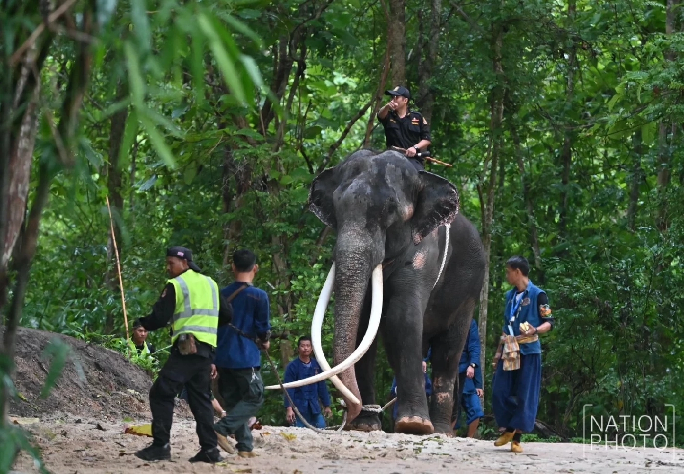"กัญจนา" แจงแล้ว พลายศักดิ์สุรินทร์ ถ้าหายดี ต้องส่งกลับศรีลังกาอีกหรือไม่