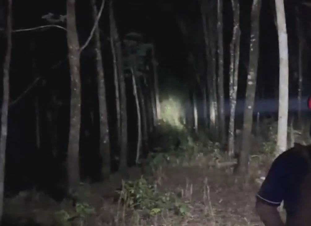 เร่งผลักดัน "ช้างป่า" ออกจากอุทยานฯ น้ำตกคลองแก้ว