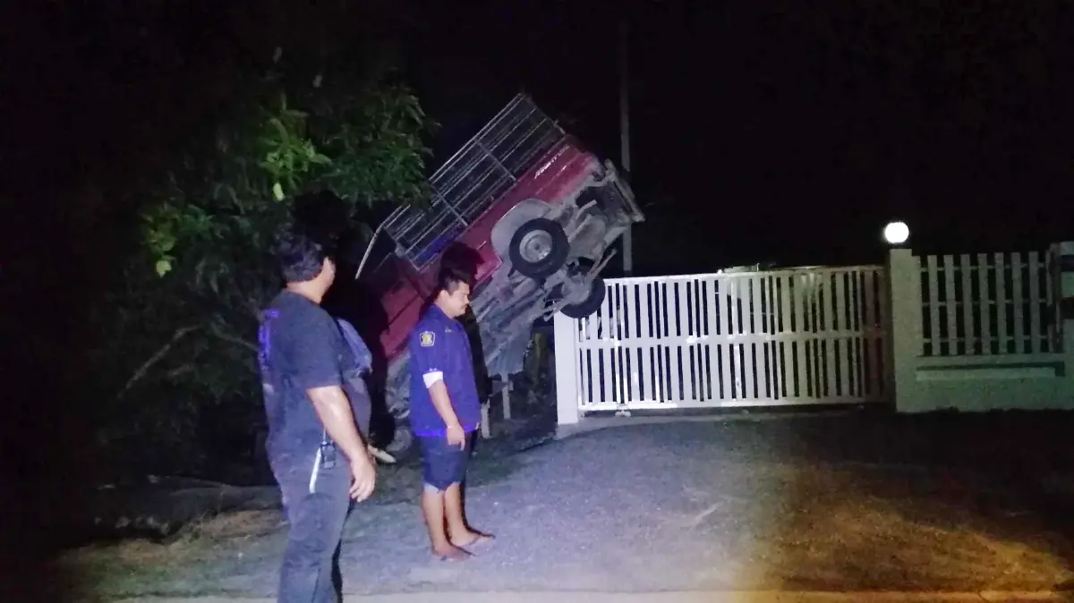 สุดอึ้ง! เซียนไก่ชนซิ่งกระบะวูบหลับใน พุ่งทะยานค้างบนต้นไม้