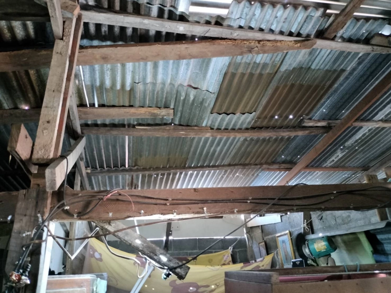 ชีวิตไม่ยอมแพ้! ยาย 88 ปี เดินหลังค่อมหาไม้เผาถ่าน เลี้ยงลูก 55 ปี โรครุมเร้า