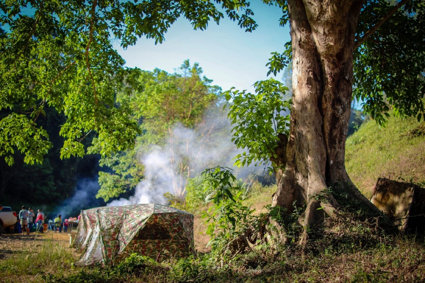 ชมภาพหายาก "สัตว์ป่า" สีสันแห่งพงไพร ที่อุทยานแห่งชาติแก่งกรุง