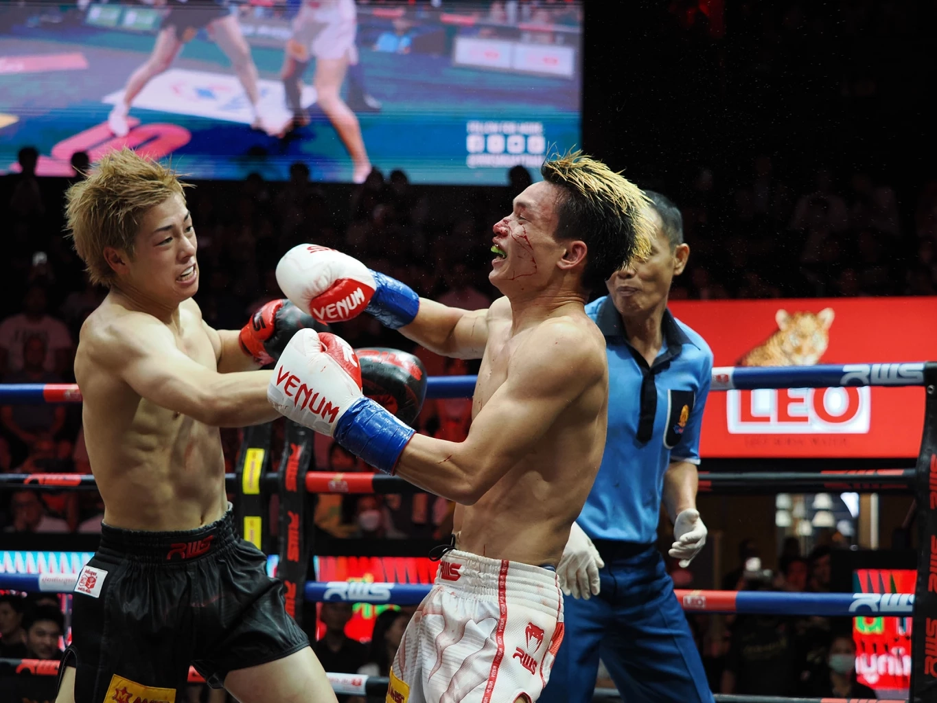 ประมวลภาพ "โจ๊กเกอร์" สุดอึด "โคตะ" ทุบไม่ลงจนชกครบ 3 ยก ศึกมวย RWS