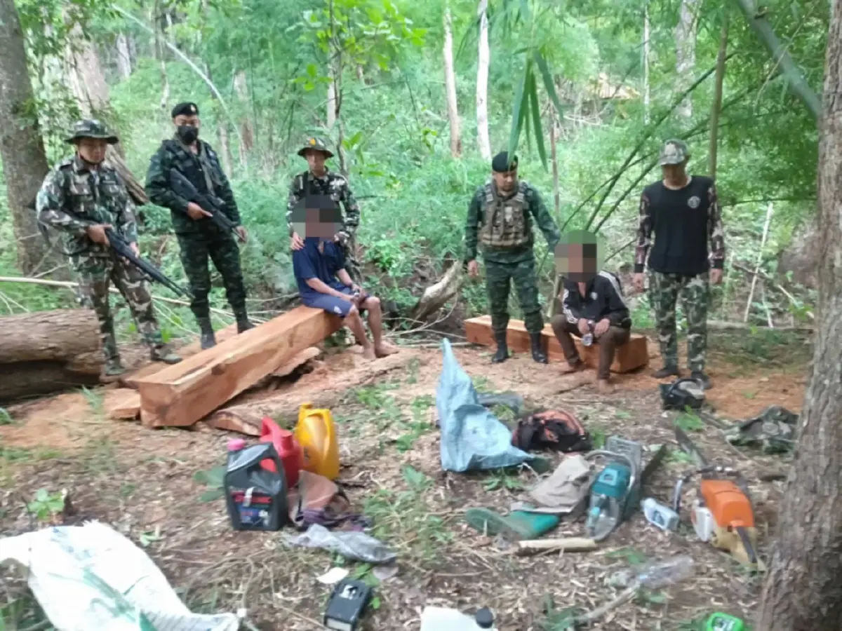 อช.ศรีลานนา รวบ 2 มอดไม้ลักลอบตัดไม้กลางป่า ในเขตอุทยานฯ