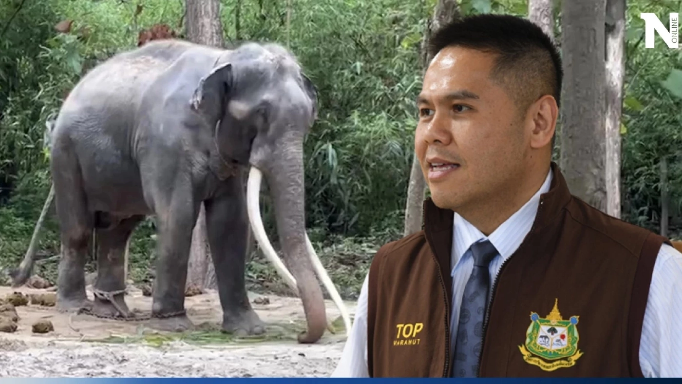 อัปเดตอาการ "พลายศักดิ์สุรินทร์" "วราวุธ" เผย คงไม่กลับศรีลังกาแล้ว