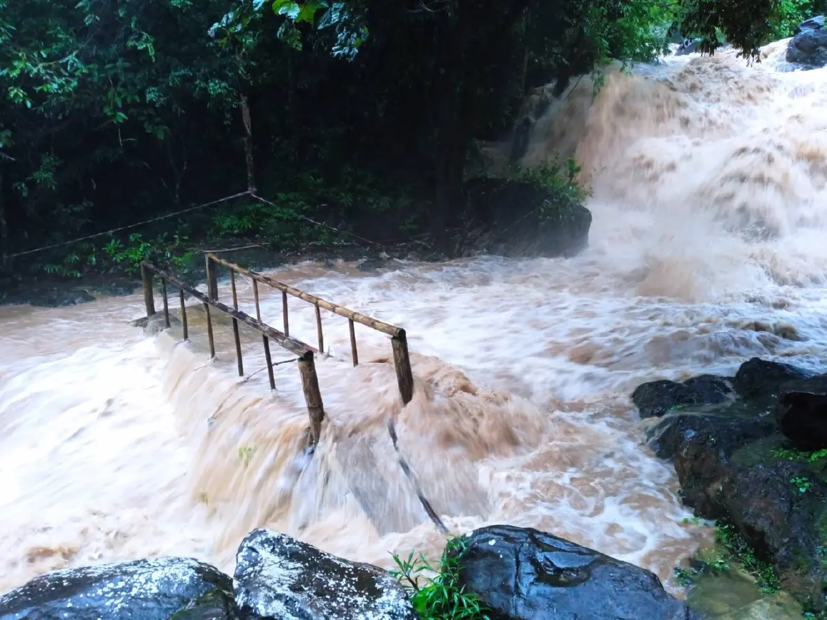 ด่วน! ฝนถล่ม น้ำป่าทะลัก"น้ำตกคลองแก้ว" และ "เขาปีกกา" เฝ้าระวังโคลนถล่ม