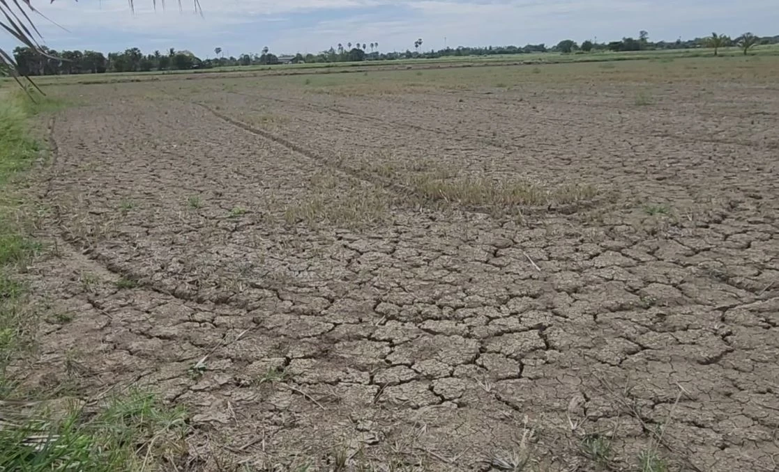 กาญจนบุรี เตือน 4 อำเภอ รับมือฝนตกหนักจากพายุ "ตาลิม"