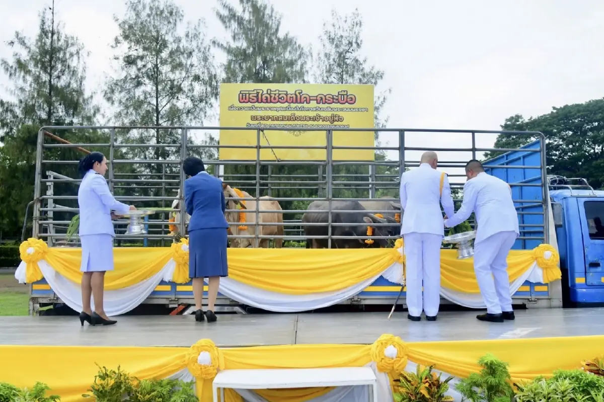ทอ. จัดกิจกรรมเฉลิมพระเกียรติในหลวง เนื่องในโอกาสวันเฉลิมพระชนมพรรษา