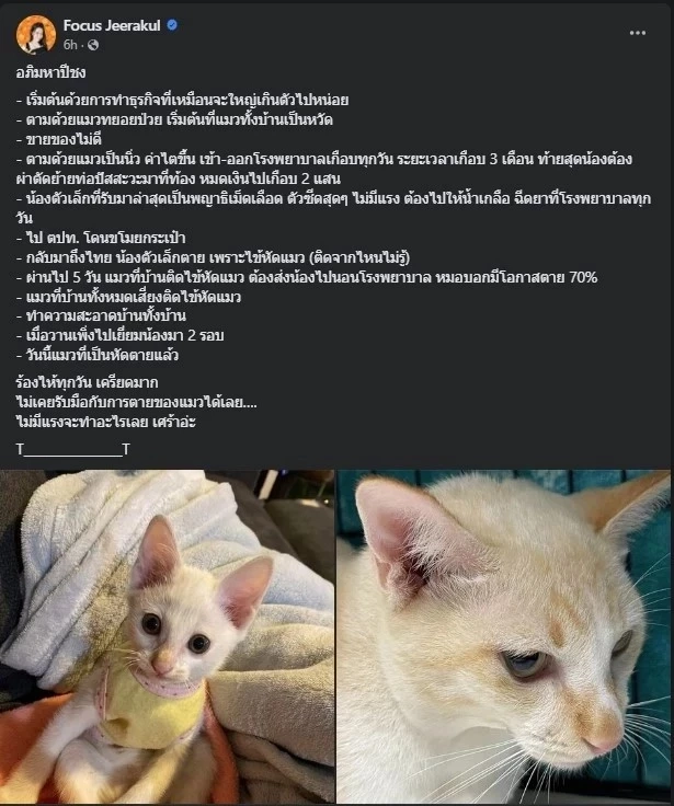 แห่ส่องโพสต์เศร้า "โฟกัส จีระกุล" ระบายยาวเหยียด ร้องไห้ทุกวัน เครียดมาก