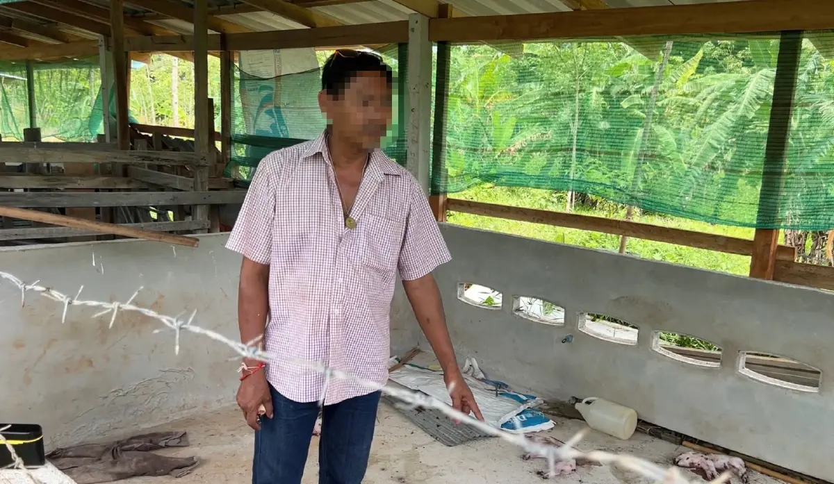 นายชาตรี (สงวนนามสกุล) หรือเขียด อายุ 45 ปี เจ้าของคอกหมู