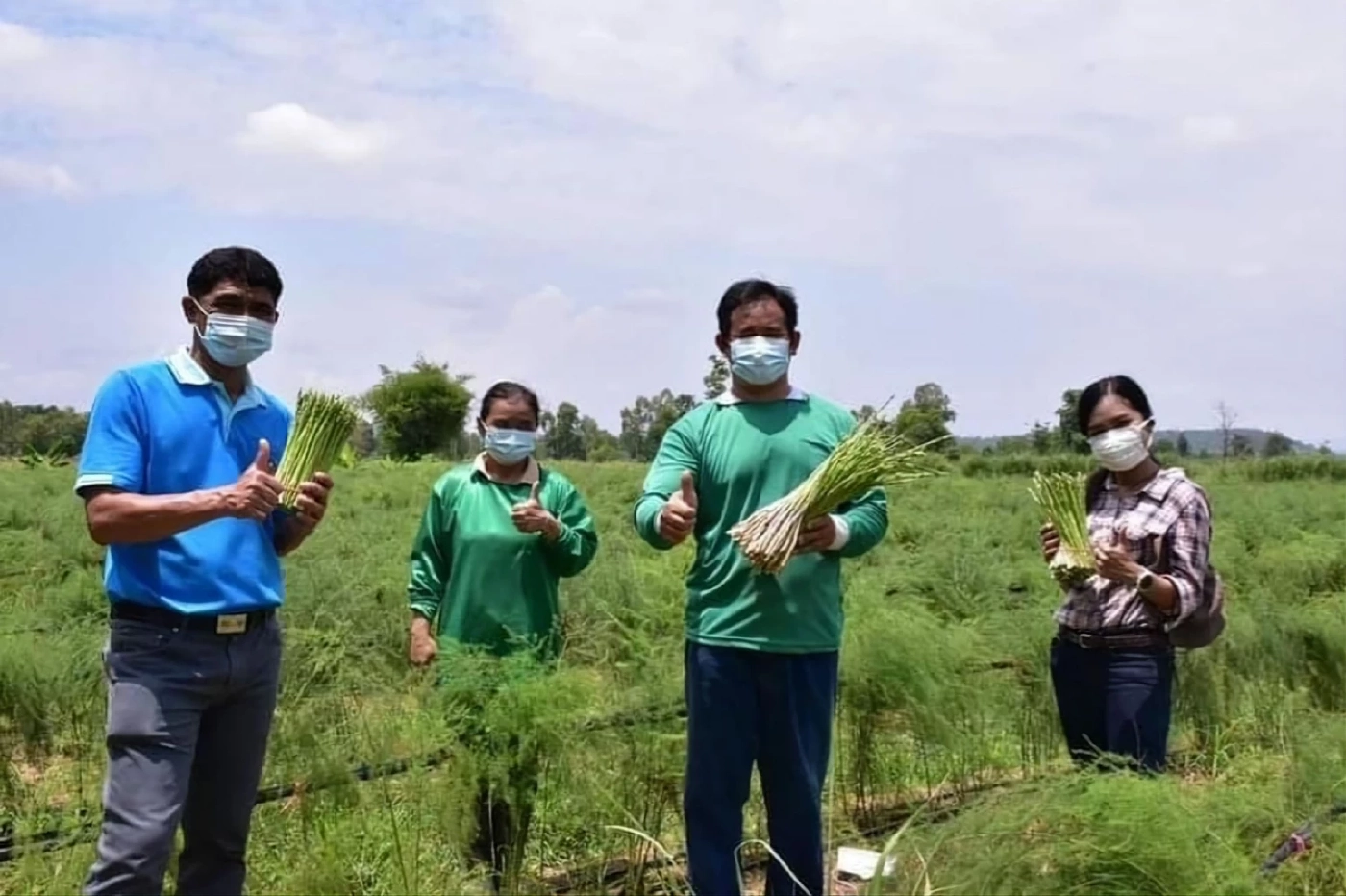 กรมพัฒนาที่ดิน อัปเกรด Agri-Map ช่วยเกษตรปลูกผลผลิตได้ตรงความต้องการตลาด