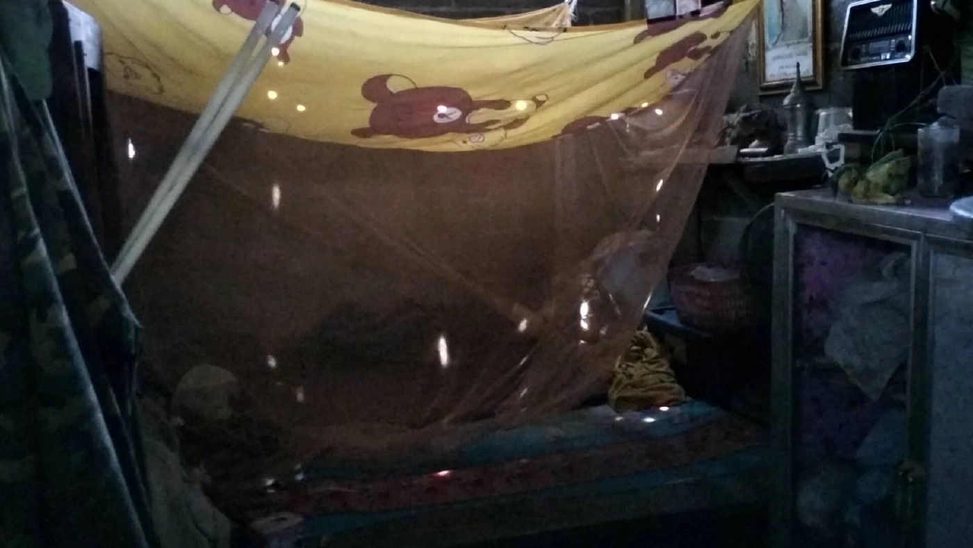 ชีวิตไม่ยอมแพ้! ยาย 88 ปี เดินหลังค่อมหาไม้เผาถ่าน เลี้ยงลูก 55 ปี โรครุมเร้า