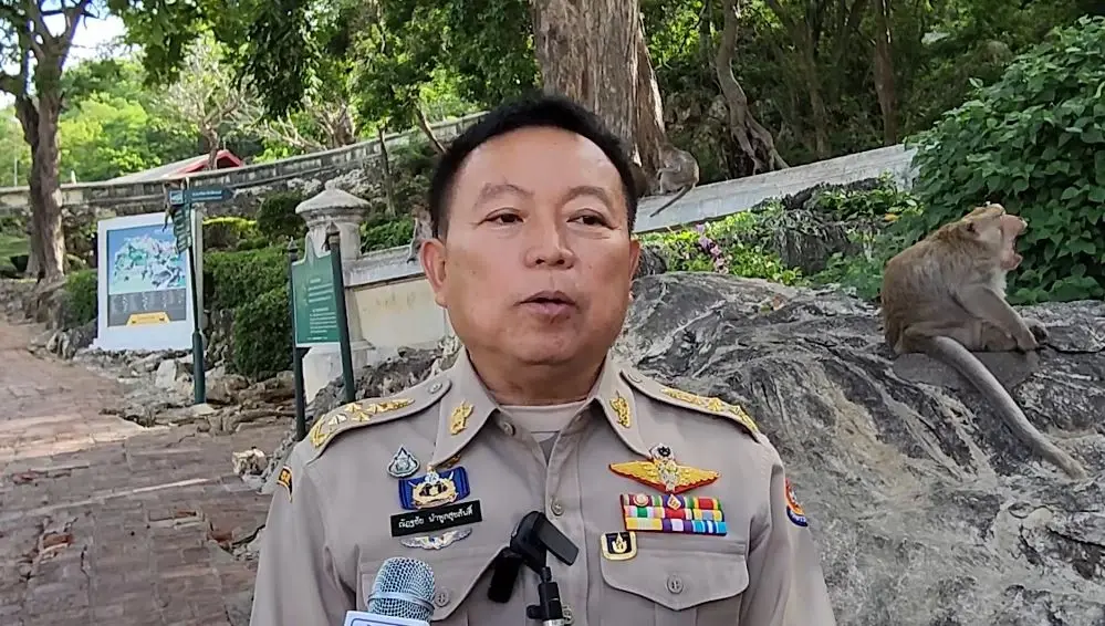 ผู้ว่าฯ เพชรบุรี เตรียมเสนอ ทส. ปลดลิงแสม ออกจากสัตว์ป่าคุ้มครอง