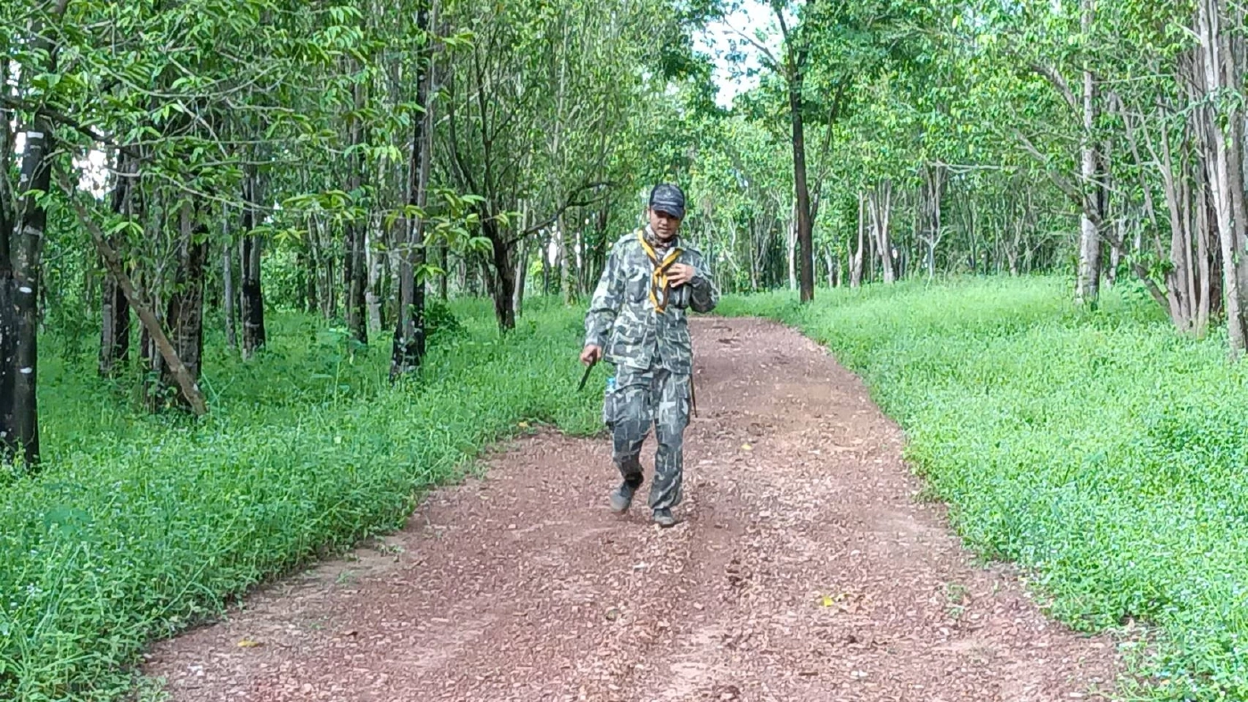 ระดมค้นหา หนุ่มกรีดยาง หายตัวบริเวณป่าเขาใหญ่ 5 วันแล้ว ยังไม่พบ