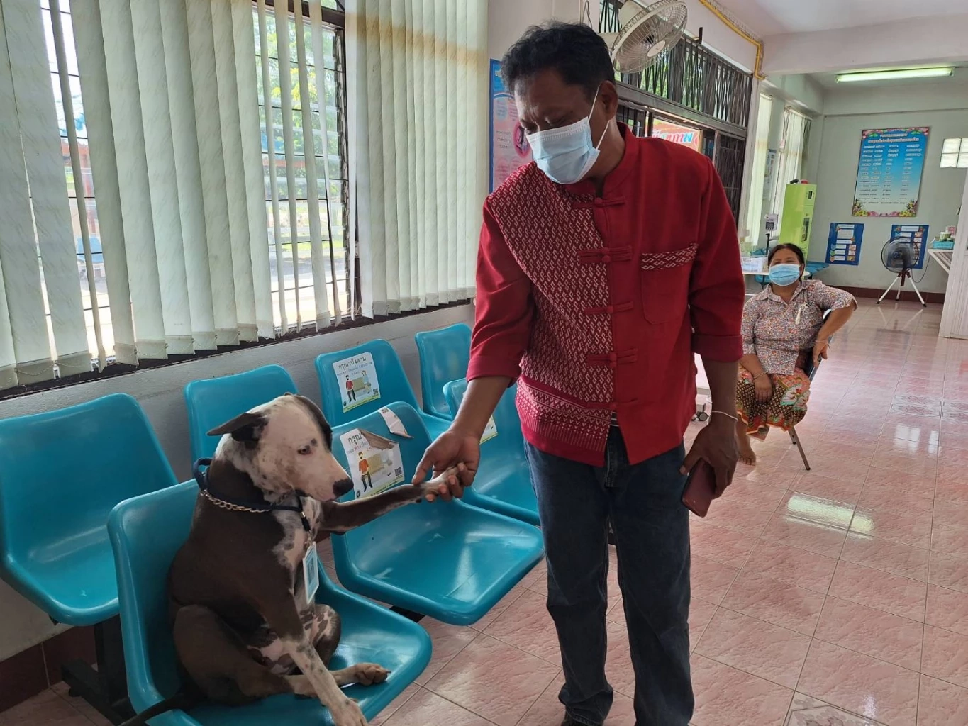 เผยความน่ารัก "เจ้าบะหมี่" กว่าจะมาเป็นดาว TikTok ได้ทั้งต้อนรับ และ รปภ.