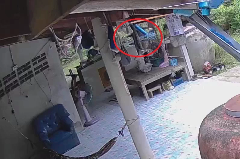 ออกหมายจับ! เจ้าหนี้สังหารพ่อค้าทุเรียน ปมหนี้ 3 ล้าน เผยคลิปนาทีดวลปืน