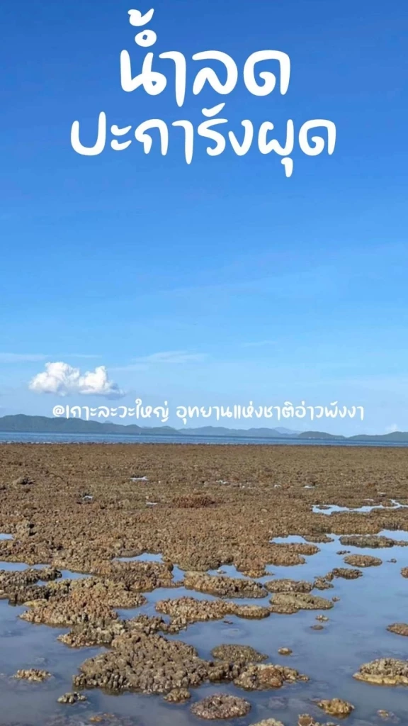 ท่องเที่ยวแบบยั่งยืน อุทยานแห่งชาติอ่าวพังงาชวนดูปะการังแบบไม่ต้องดำน้ำ