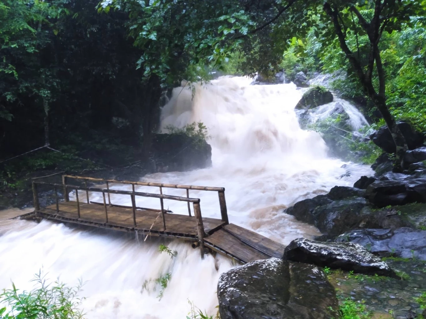 ปิดชั่วคราว "น้ำตกคลองแก้ว" หลังโขลงช้างป่าเปลี่ยนที่หากิน-ฝนตกหนักในพื้นที่