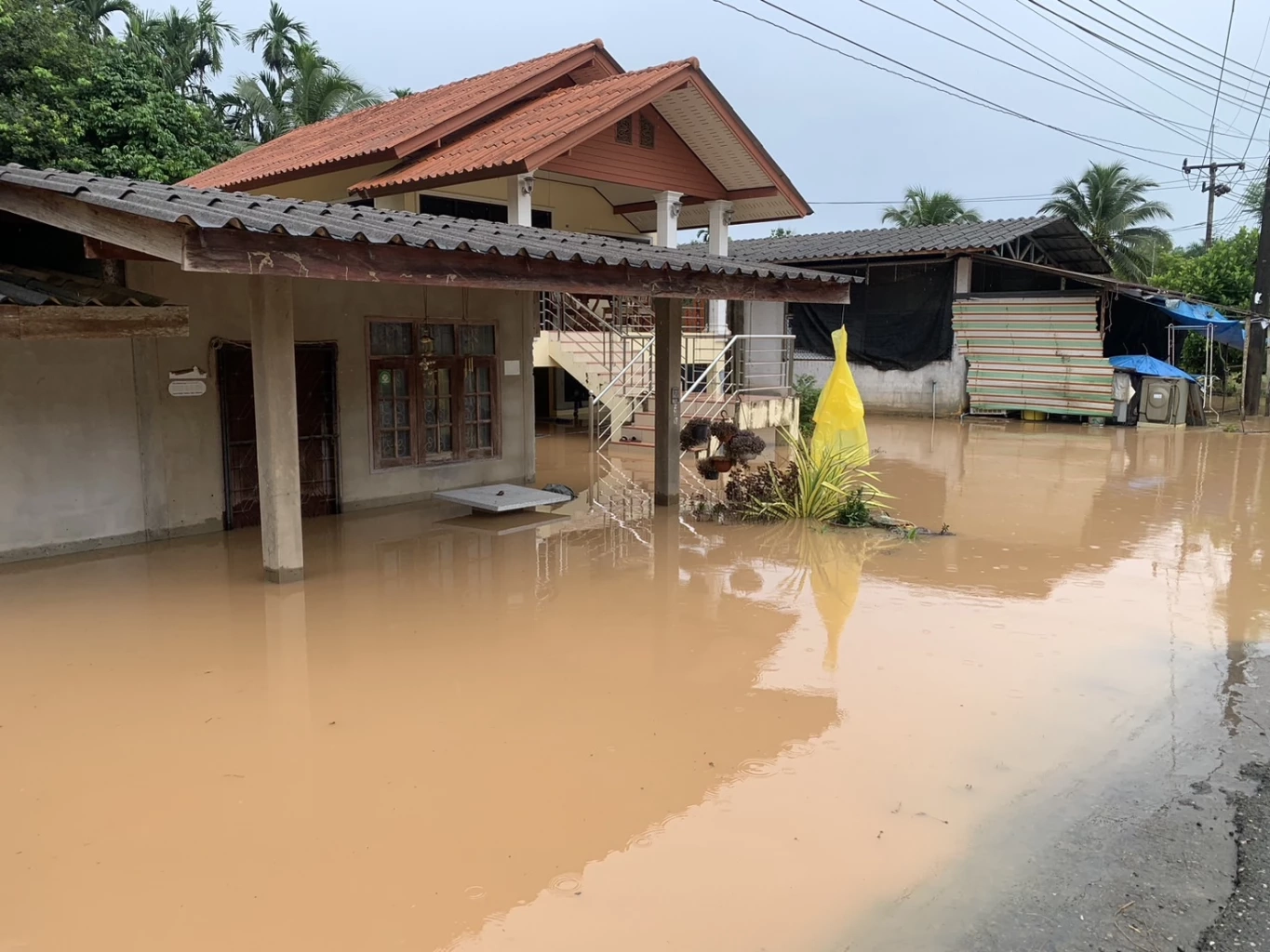 น้ำท่วมตรังยังอ่วม 2 อำเภอ ชาวบ้านพื้นที่ประสบภัยเศร้า จำใจปล่อยสัตว์จมน้ำ