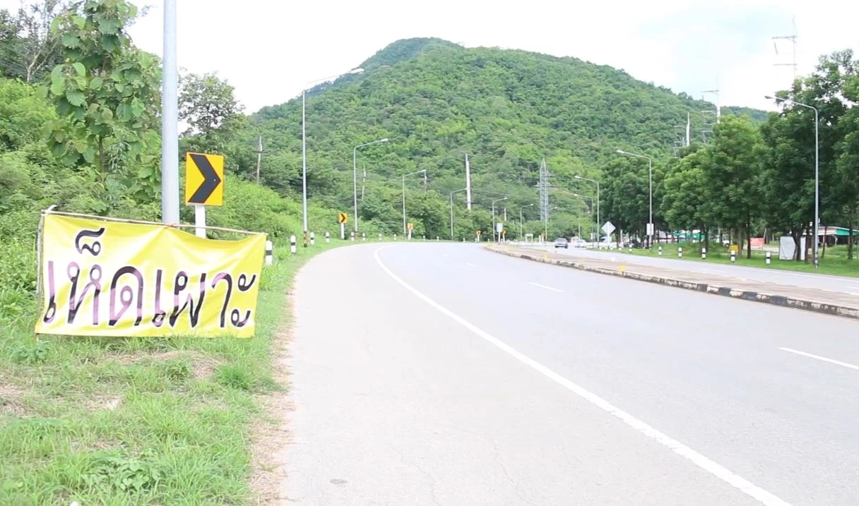 วิจารณ์สนั่น! สาวเปลือยอกทำคอนเทนต์ขายเห็ดเผาะ คาดโฆษณาเว็บพนัน