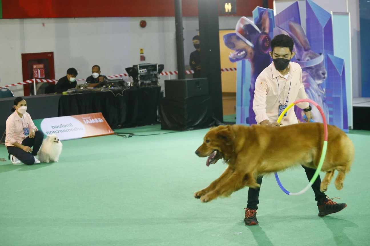 Pet Expo Championship 2023 ปลุกกระแสดูแลสุขภาพสัตว์เลี้ยง