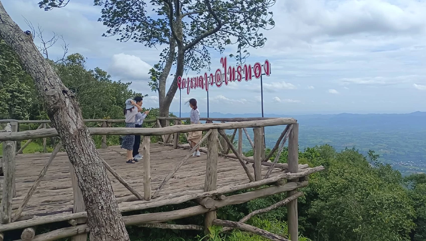 วันหยุด นทท. ชมความงาม "ทุุ่งดอกกระเจียว" อุทยานแห่งชาติไทรทอง คึกคัก