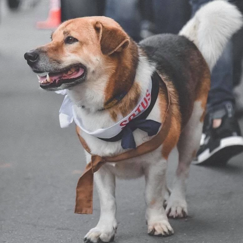 ด่วน! ศาลพิพากษาจำคุก "ส.ต.ท." มืออุ้ม "พี่เตี้ย มช." 6 เดือน ไม่รอลงอาญา
