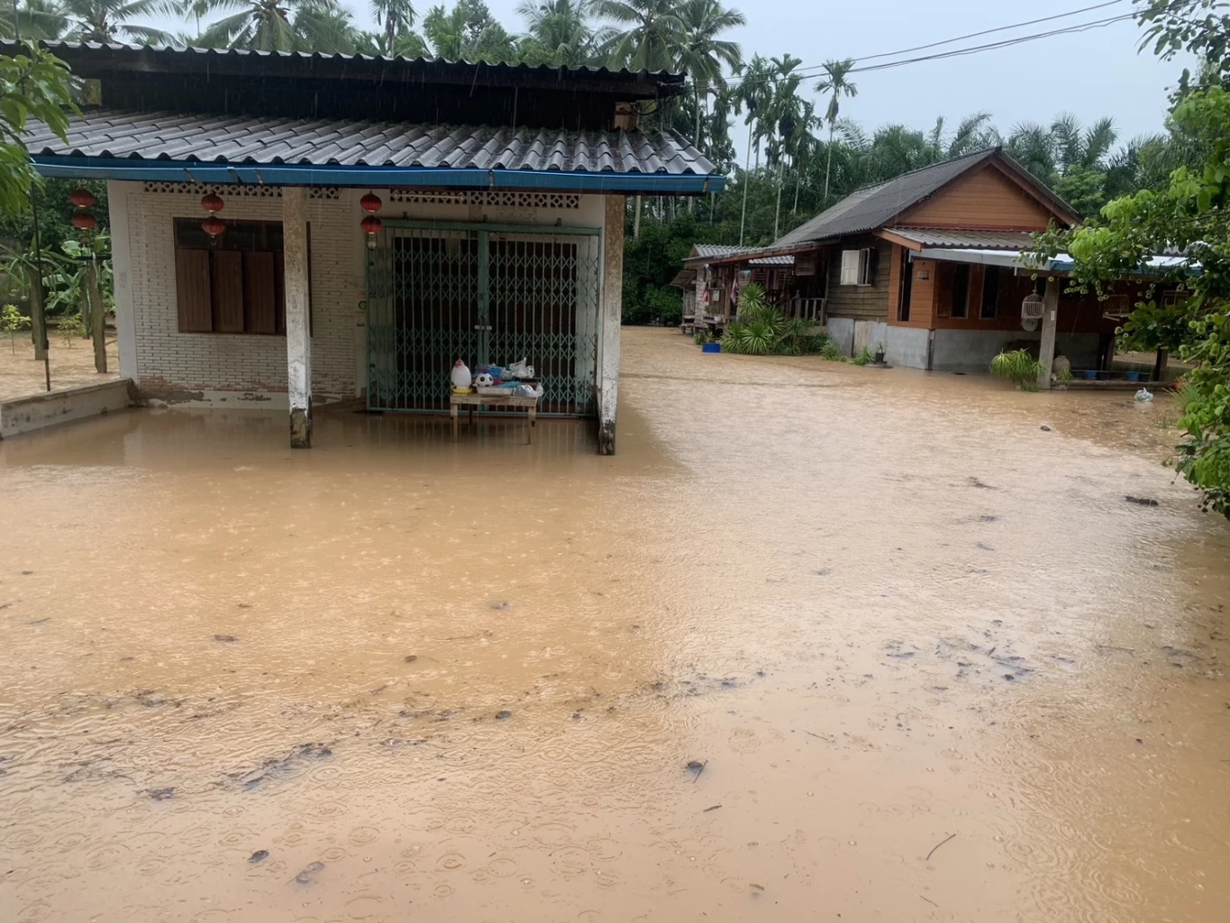 ตรัง-พังงา อ่วม! ฝนตกหนักตลอดทั้งคืน น้ำป่าทะลักท่วมบ้านเรือน ปชช. 8 อำเภอ