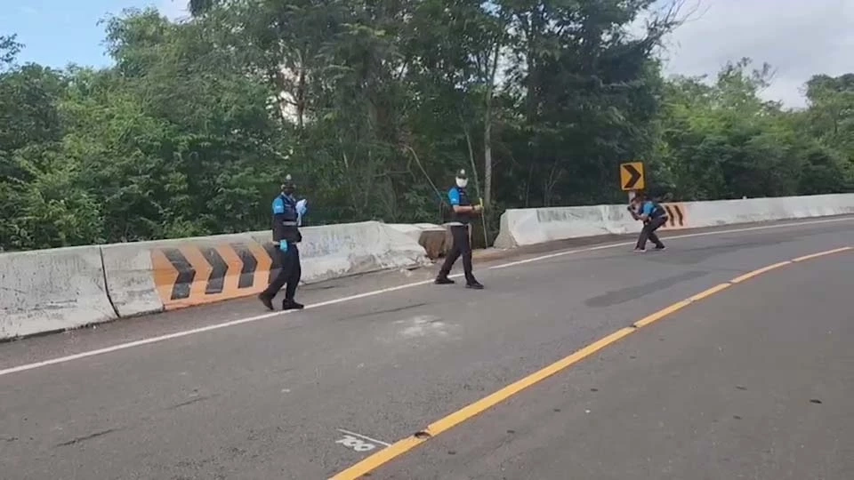 กรมขนส่ง ตรวจสภาพรถบัสรับส่งนักวิ่ง ดิ่งเหวดับ 4 พบเป็นรถปลดประจำการกองทัพ