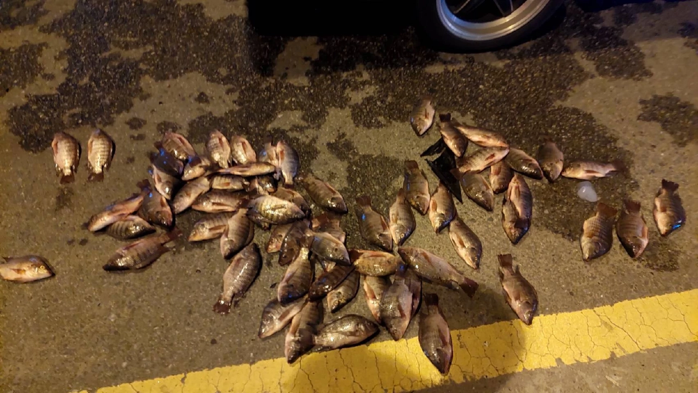 สนั่นกลางสี่แยก เก๋งวิ่ง"ฝ่าไฟแดง" พุ่งชนรถพ่อค้าปลา ติดคาซากรถ (มีคลิป)