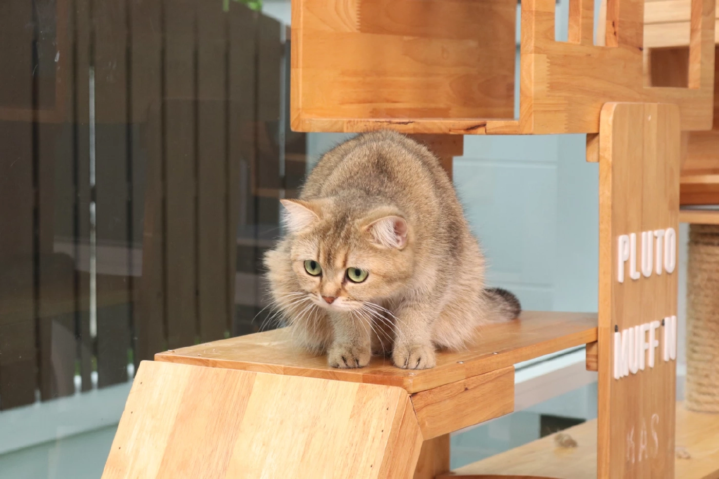 “คริส พีรวัส” เล่าช่วงที่เป็นแพนิคชีวิตดิ่ง! สิ่งนี้ช่วยฮีลใจดีที่สุด