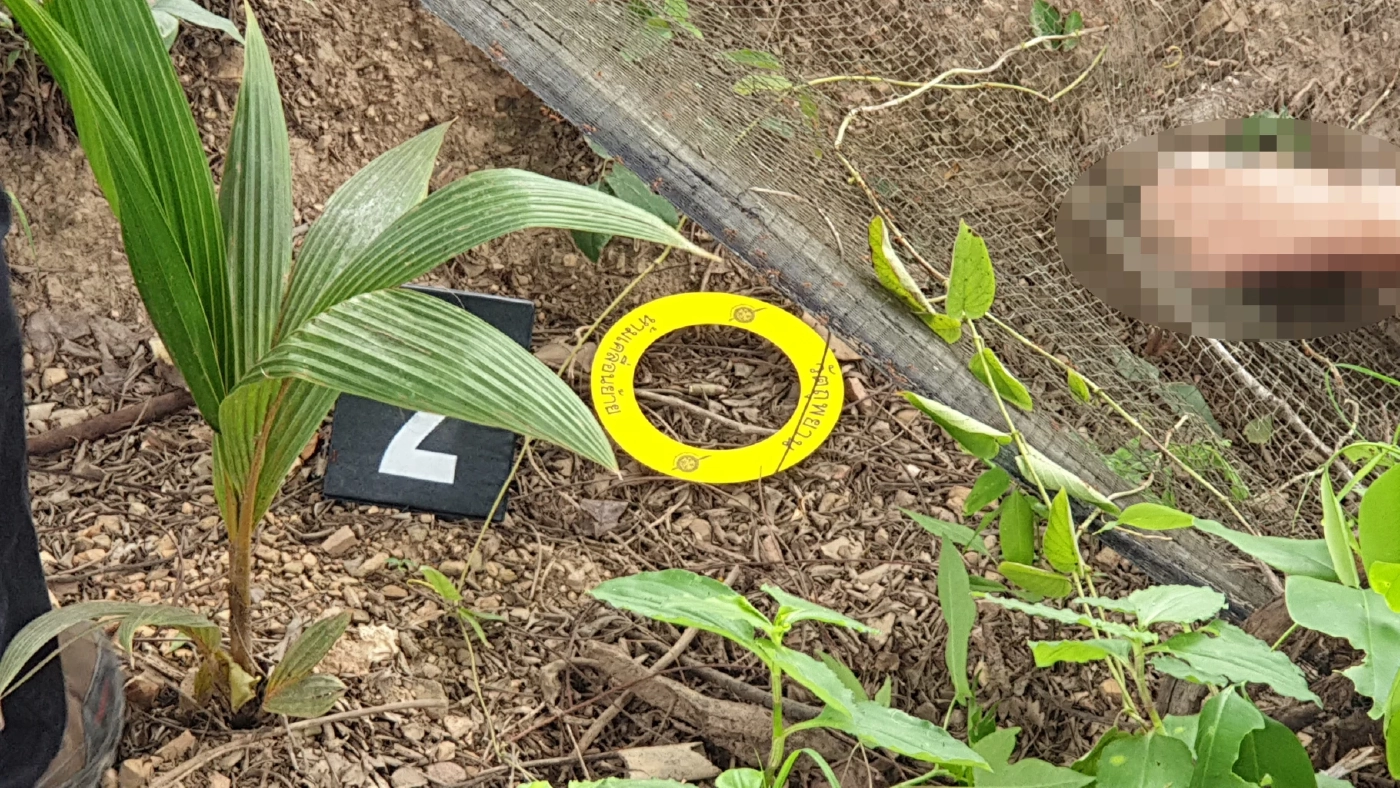 เมืองคนดุ! หนุ่มเมืองเพชร ถูกยิงทิ้งริมถนน หลังเพิ่งพ้นคุกคดีขืนใจ 5 วัน