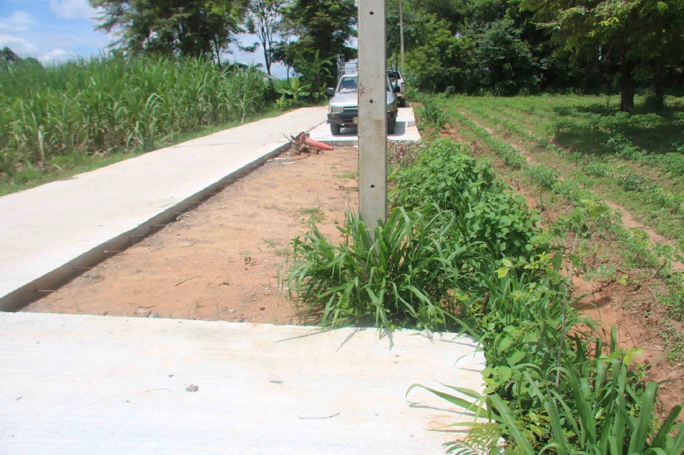 หวิดวางมวย คัดค้านรังวัดที่ดิน สร้างถนนคอนกรีต-ย้ายเสาไฟไม่ได้