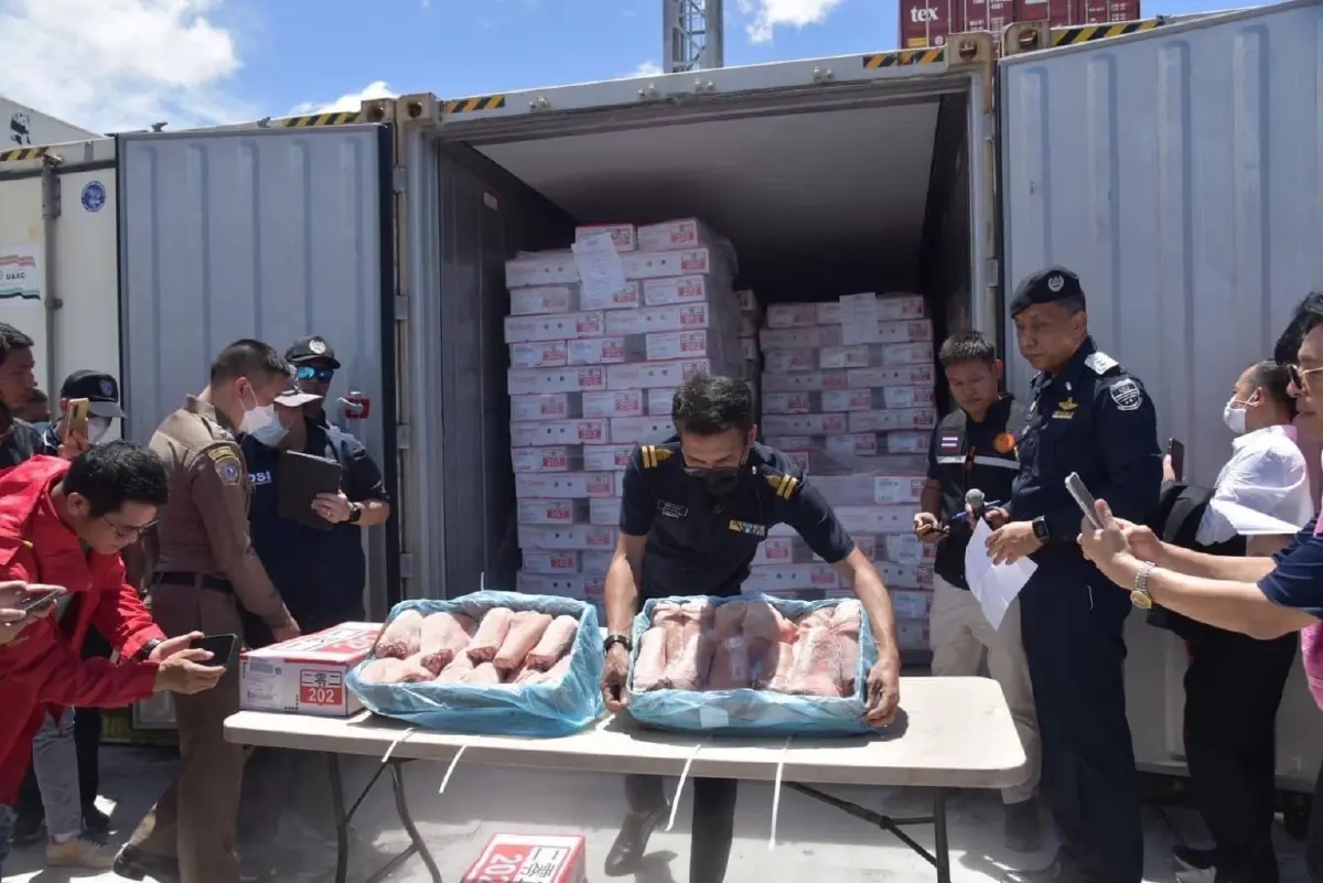 ดีเอสไอเร่งขยายผล “4- 5 บิ๊กแบ็คอัพ” ขบวนการหมูเถื่อน 161 ตู้