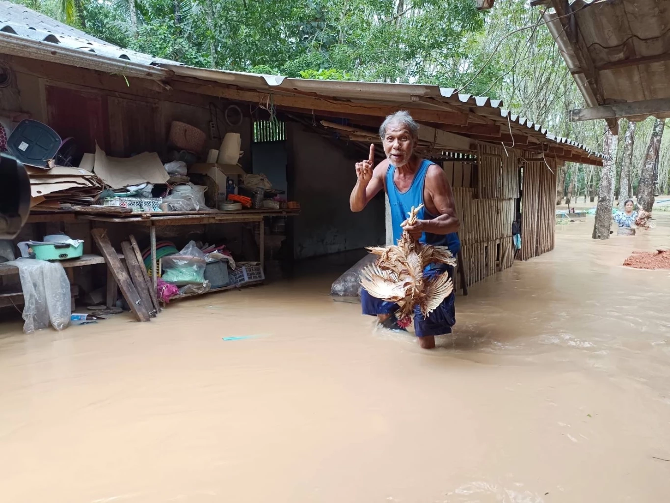 น้ำท่วมตรังยังอ่วม 2 อำเภอ ชาวบ้านพื้นที่ประสบภัยเศร้า จำใจปล่อยสัตว์จมน้ำ