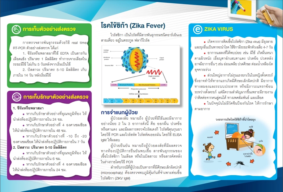 รู้จัก "ไวรัสซิกา" ล่าสุดพบผู้ป่วย110 ราย เตือน หญิงตั้งครรภ์เสี่ยงแท้งได้ 