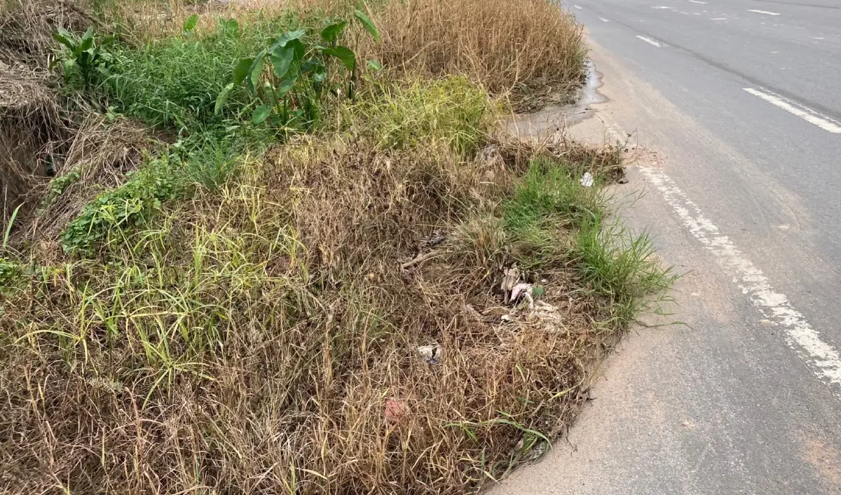 สุดอันตราย ถนนมีหญ้าขึ้น หินทรายเต็มไหล่ทาง ยางมะตอยนูน เกิดอุบัติเหตุประจำ