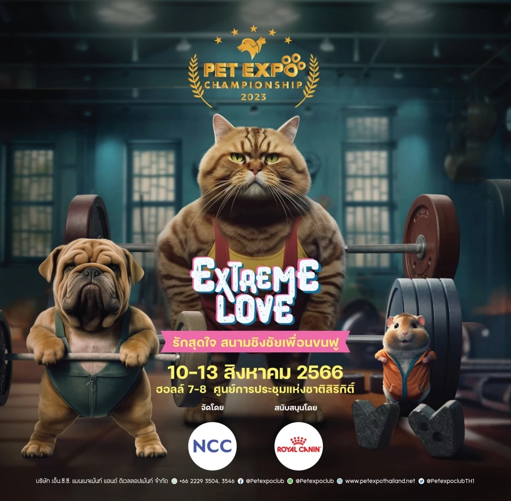 Pet Expo Championship 2023 ปลุกกระแสดูแลสุขภาพสัตว์เลี้ยง