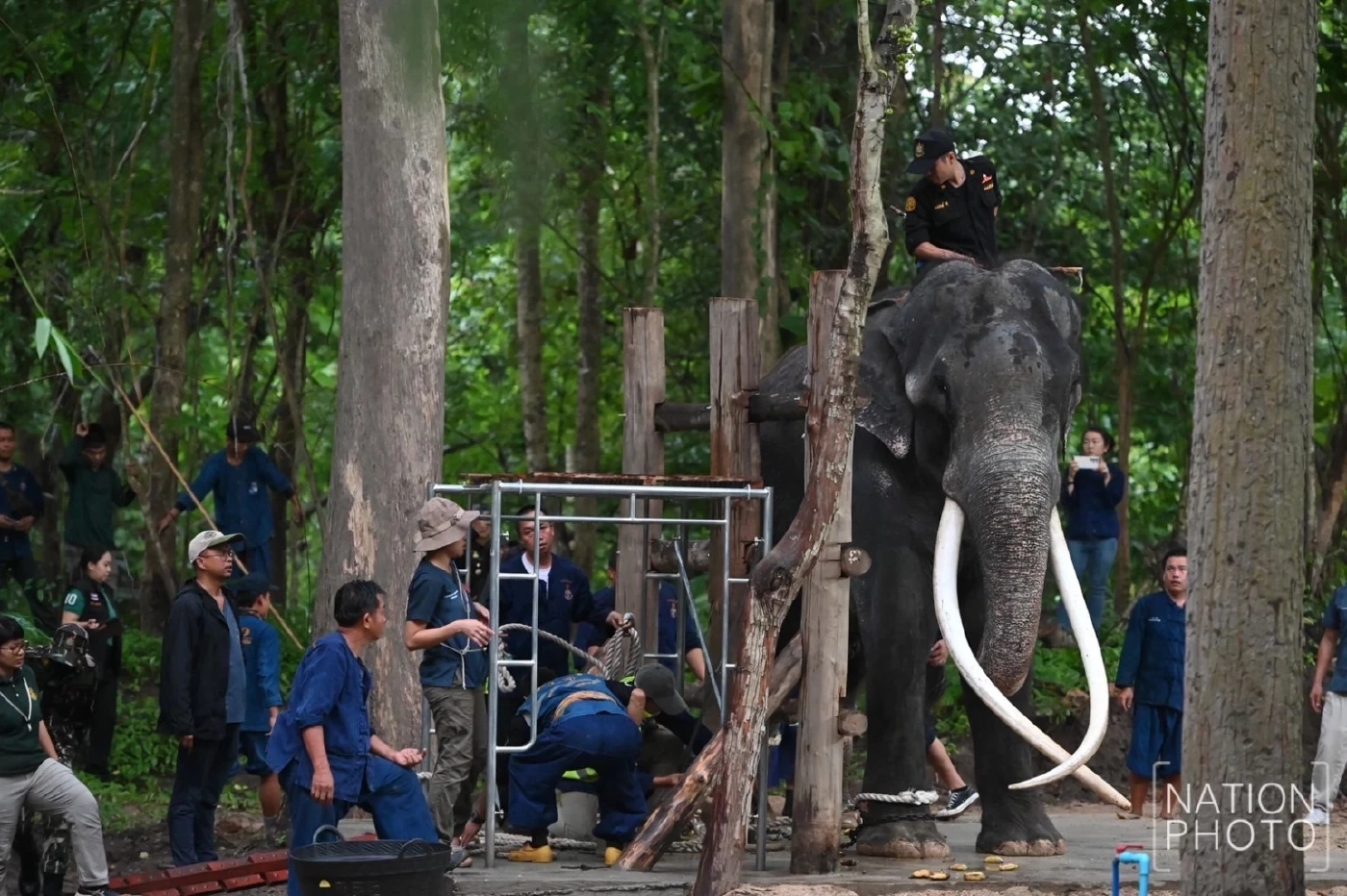 "กัญจนา" แจงแล้ว พลายศักดิ์สุรินทร์ ถ้าหายดี ต้องส่งกลับศรีลังกาอีกหรือไม่