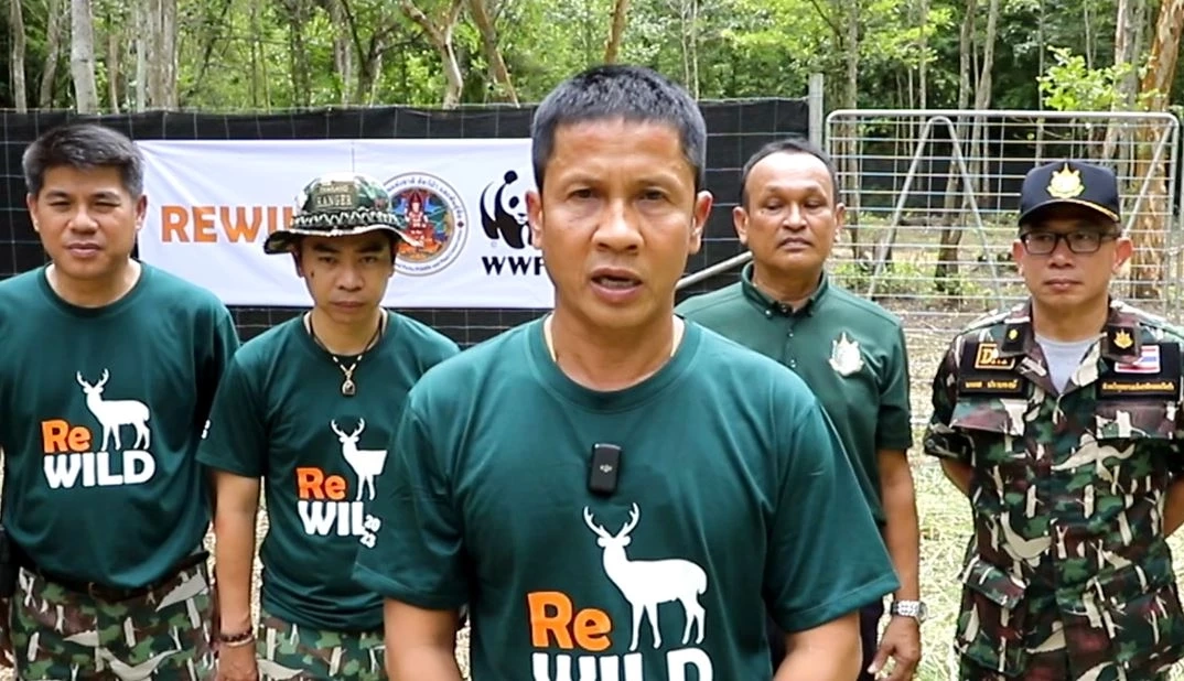 อช.คลองลาน ปล่อยกวางป่า 14 ตัว คืนสู่ธรรมชาติ ติดปลอกคอศึกษาพฤติกรรม