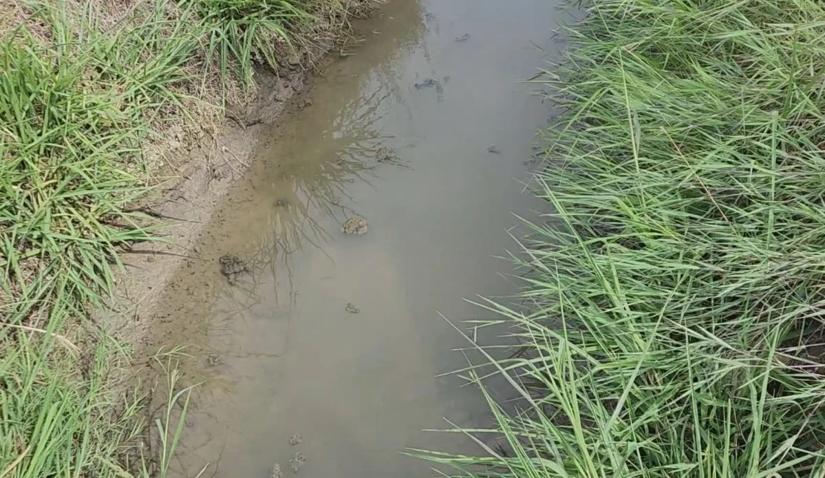 กาญจนบุรี เตือน 4 อำเภอ รับมือฝนตกหนักจากพายุ "ตาลิม"